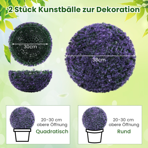 kirschlorbeer etna 150 cm Kirschlorbeer Etna (Prunus laurocerasus 'Etna') | 80-100 cm im Topf